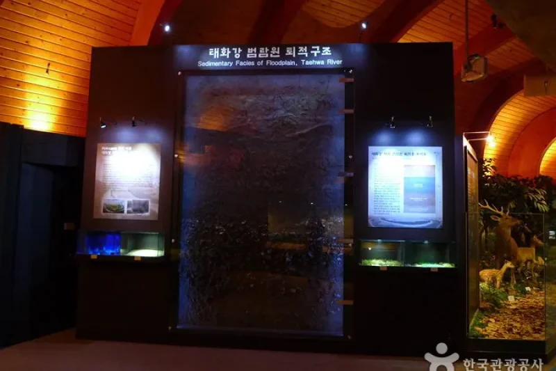Ulsan Petroglyph Museum  (5/19)