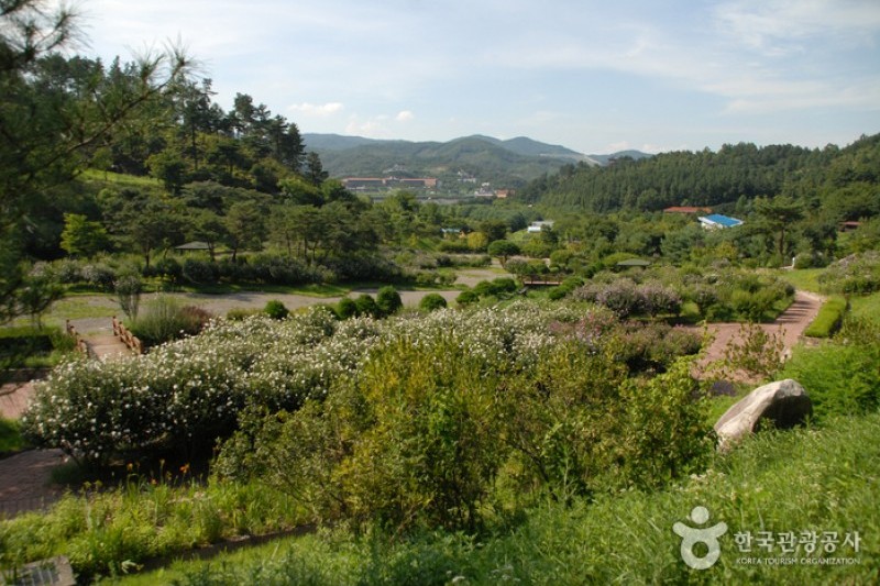 Geumgang Natural Recreation Forest  (1/8)