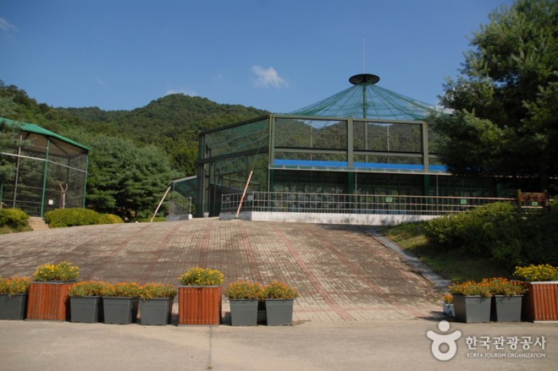 Geumgang Natural Recreation Forest  (4/8)