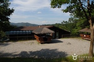 Geumgang Natural Recreation Forest 
