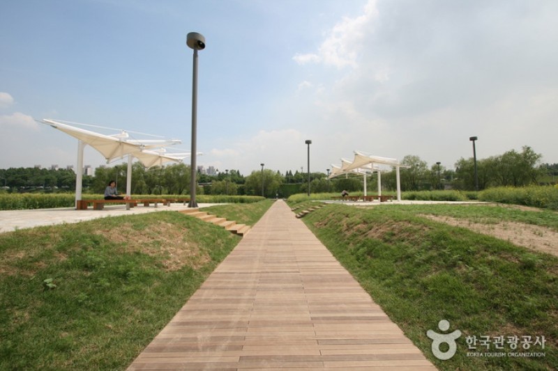 Banpo Seoraeseom Island  (2/2)