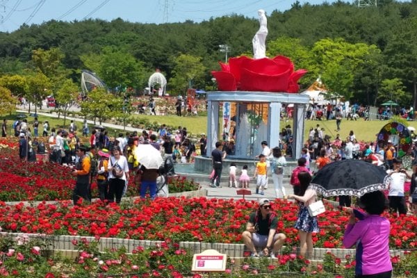 Ulsan Grand Park Rose Festival