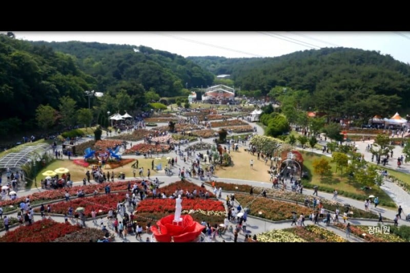 Ulsan Grand Park Rose Festival  (2/5)