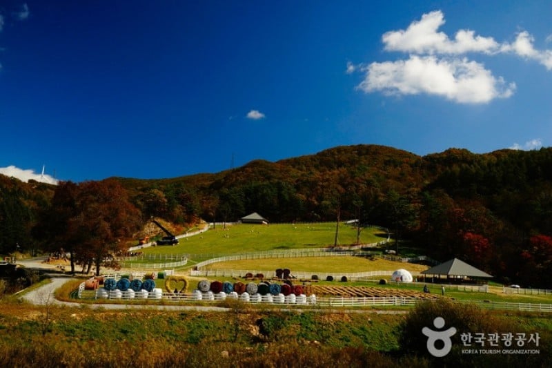 Daegwallyeong Skyranch 