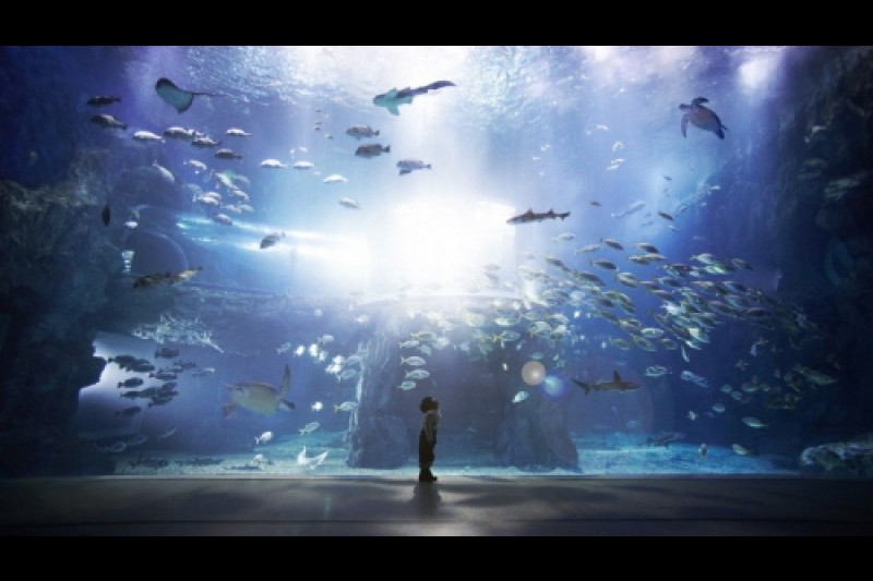 Hanhwa Aqua Planet Yeosu 