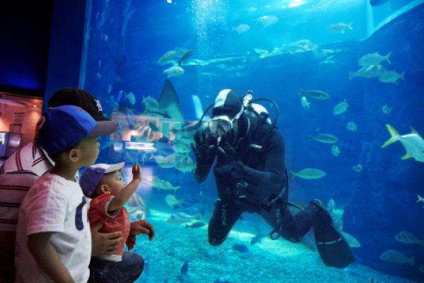 Hanhwa Aqua Planet Yeosu