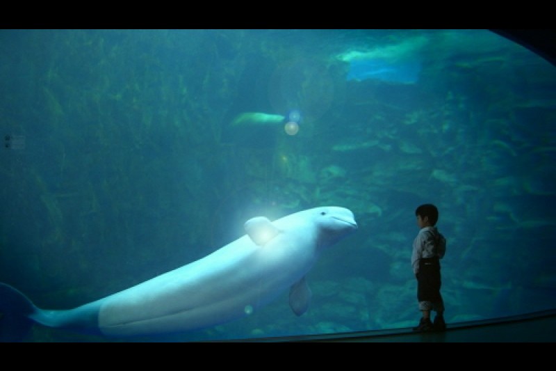 Hanhwa Aqua Planet Yeosu 