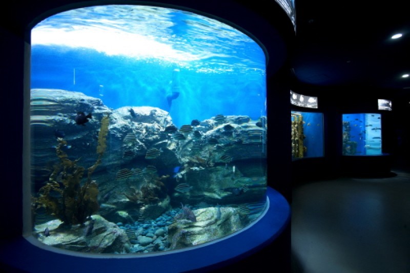 Hanhwa Aqua Planet Yeosu 