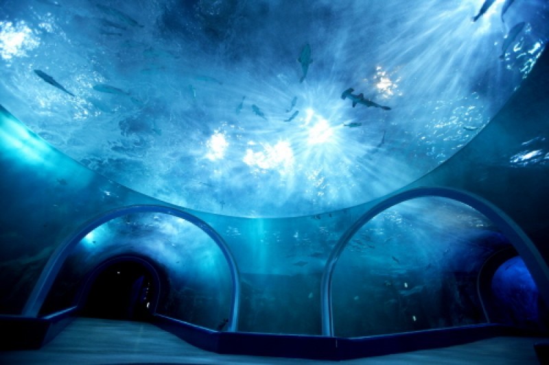Hanhwa Aqua Planet Yeosu 