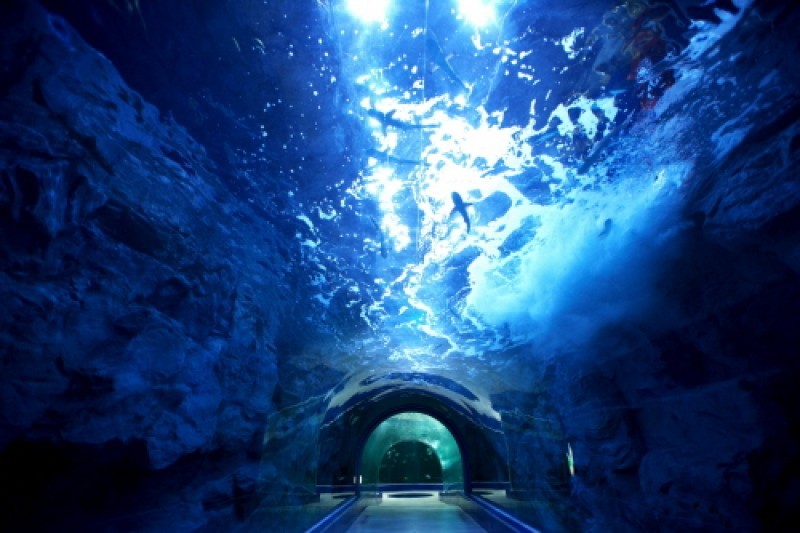 Hanhwa Aqua Planet Yeosu 