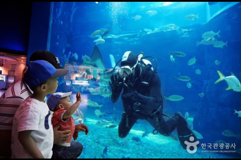 Hanhwa Aqua Planet Yeosu 