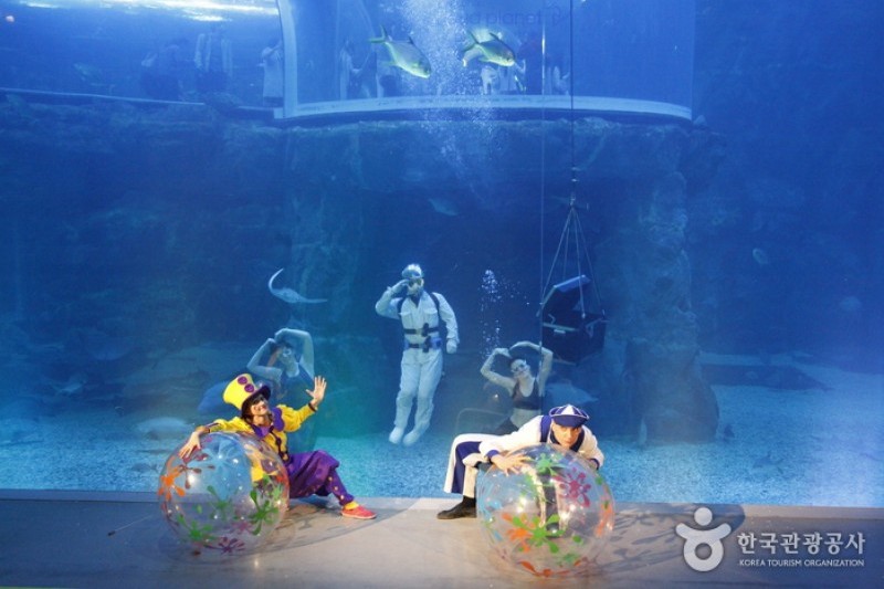 Hanhwa Aqua Planet Yeosu 