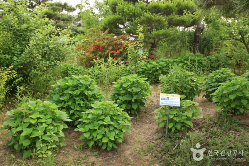 Theme Botanic Gardens &amp; Arboretum  (7/31)