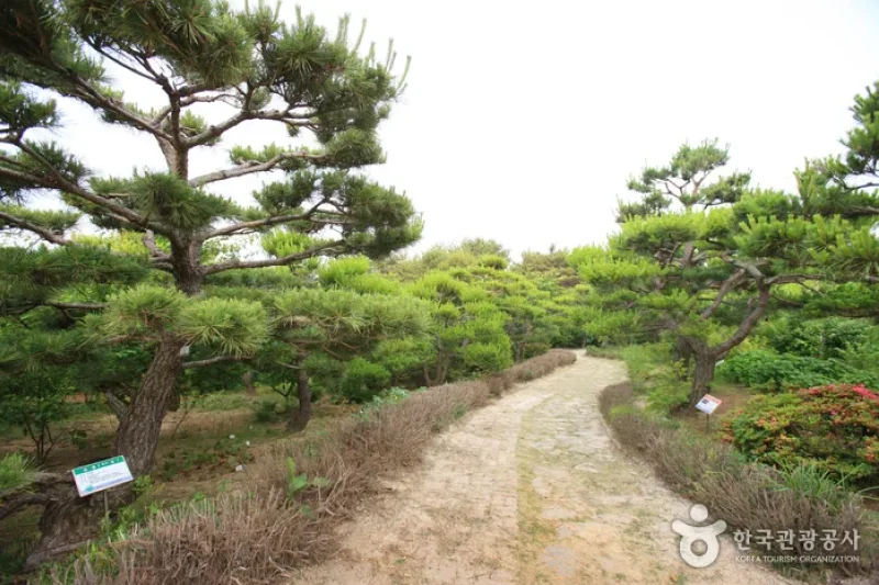 Theme Botanic Gardens &amp; Arboretum  (8/31)