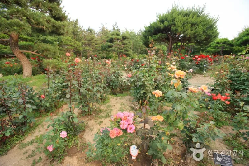 Theme Botanic Gardens &amp; Arboretum  (9/31)