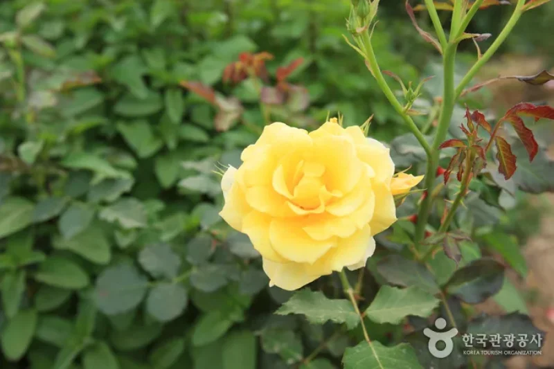 Theme Botanic Gardens &amp; Arboretum  (10/31)
