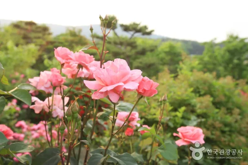 Theme Botanic Gardens &amp; Arboretum  (11/31)