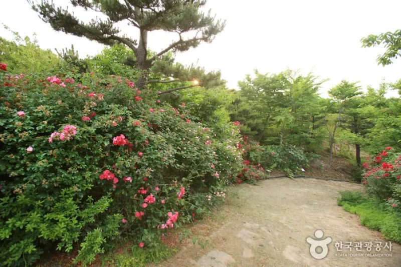 Theme Botanic Gardens &amp; Arboretum  (12/31)