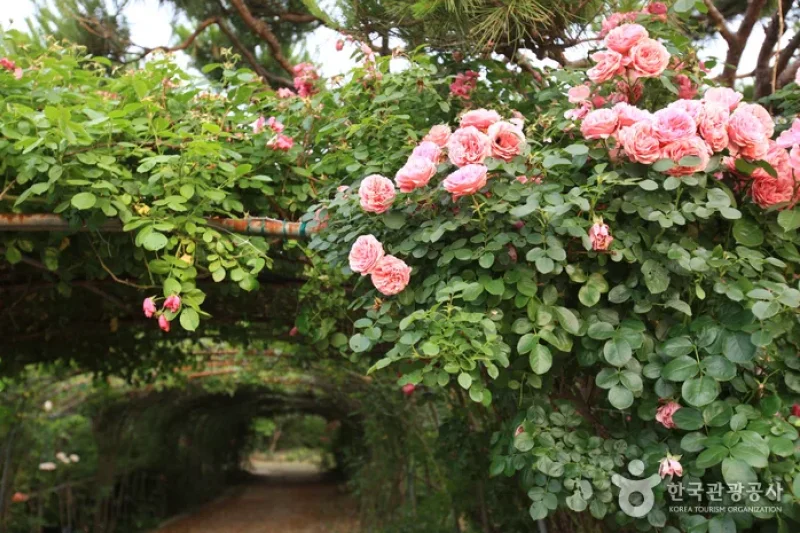 Theme Botanic Gardens &amp; Arboretum  (14/31)