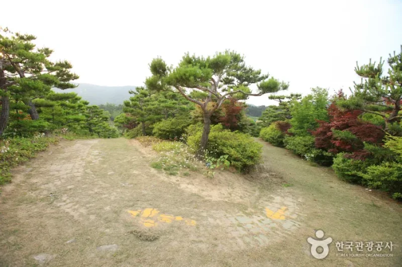 Theme Botanic Gardens &amp; Arboretum  (15/31)