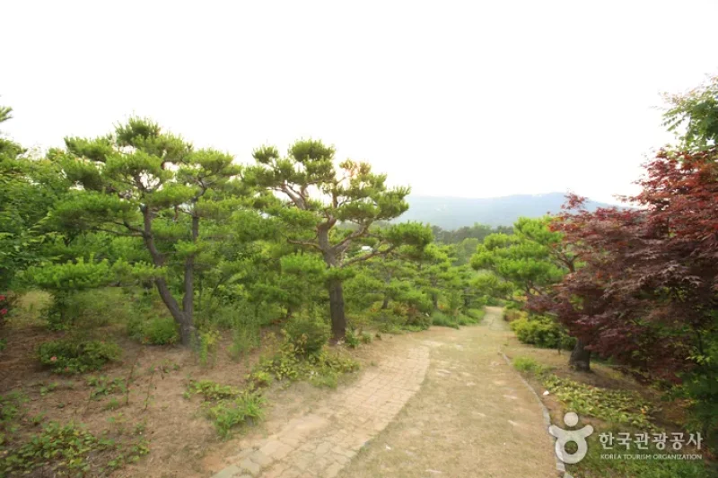 Theme Botanic Gardens &amp; Arboretum  (16/31)
