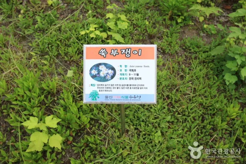 Theme Botanic Gardens &amp; Arboretum  (17/31)