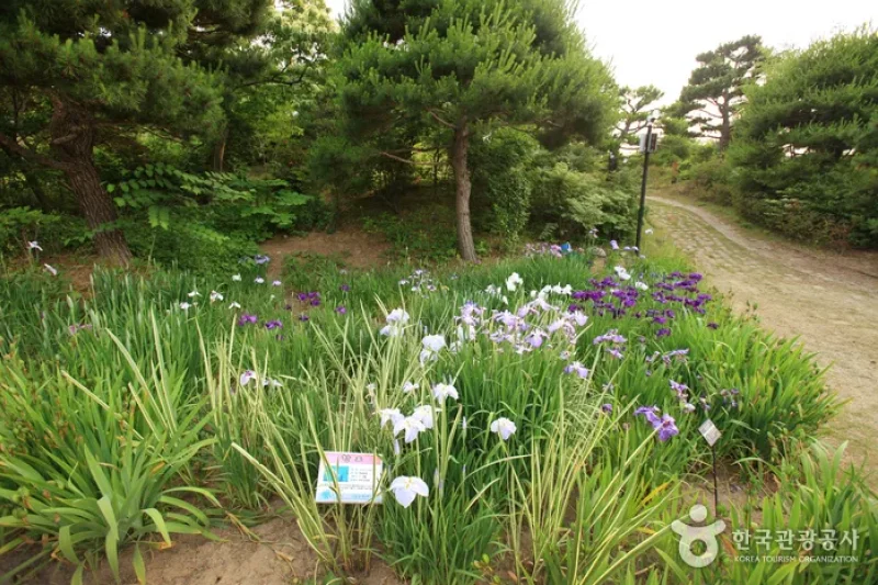 Theme Botanic Gardens &amp; Arboretum  (18/31)