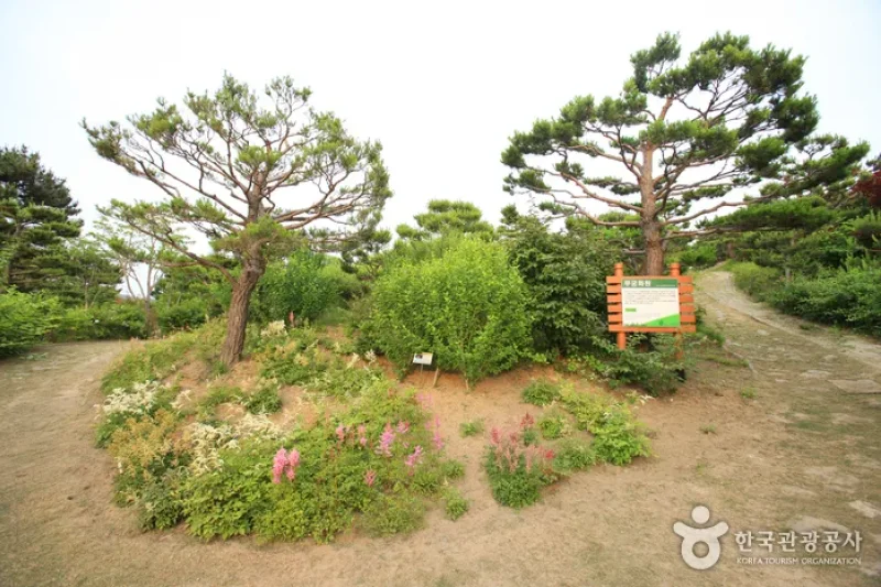 Theme Botanic Gardens &amp; Arboretum  (19/31)