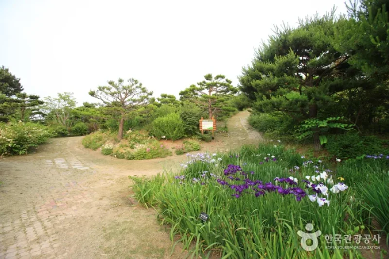 Theme Botanic Gardens &amp; Arboretum  (20/31)