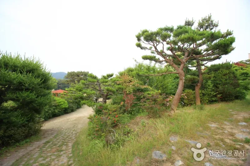 Theme Botanic Gardens &amp; Arboretum  (21/31)