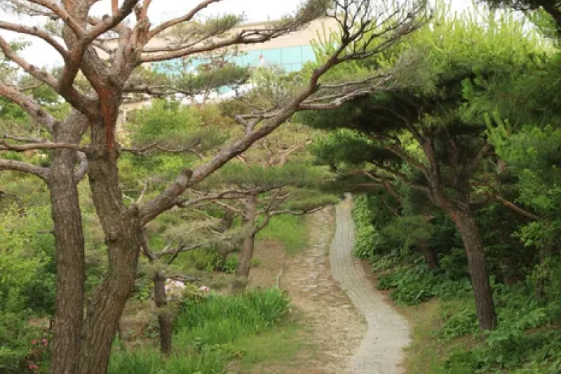 Theme Botanic Gardens &amp; Arboretum  (22/31)
