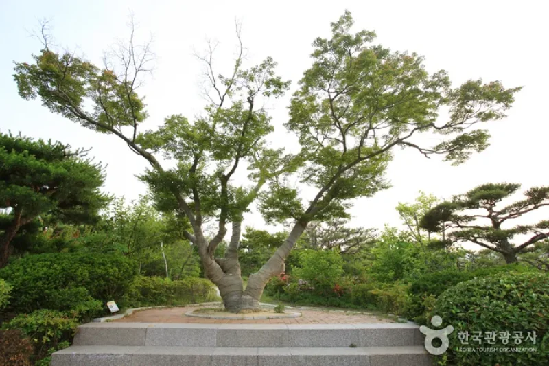 Theme Botanic Gardens &amp; Arboretum  (27/31)