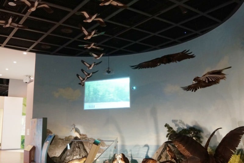 National Heritage Center  (2/5)