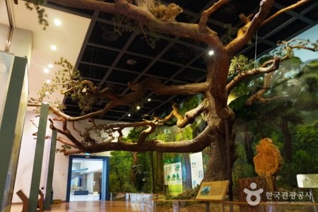 National Heritage Center 