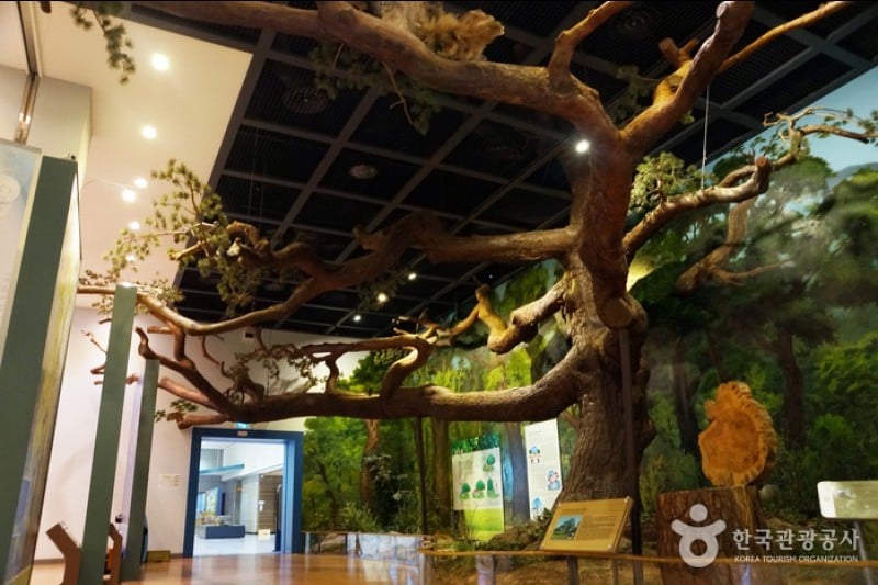National Heritage Center  (4/5)