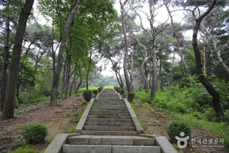 Yulgok Historical Site  (8/25)