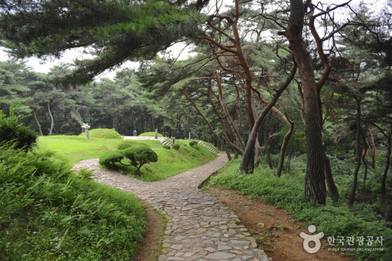Yulgok Historical Site  (10/25)