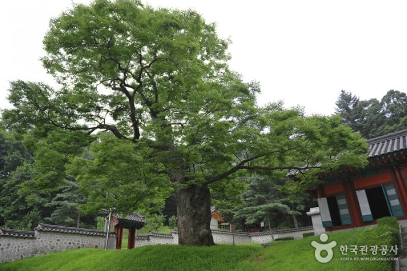 Yulgok Historical Site  (13/25)