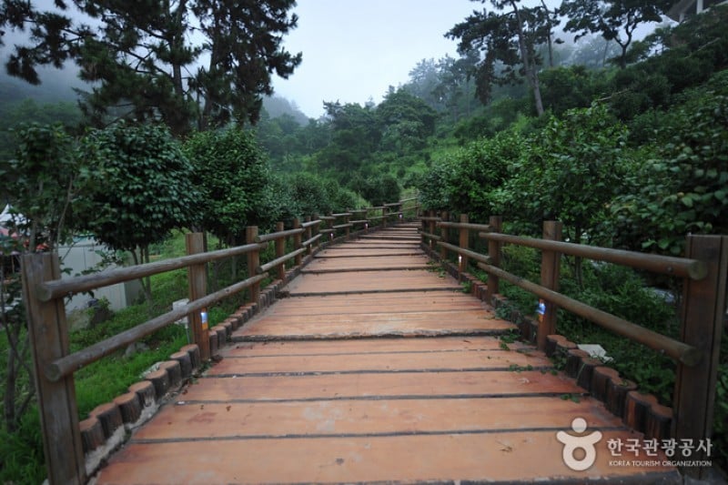 Baeksu Coastal Road  (3/24)