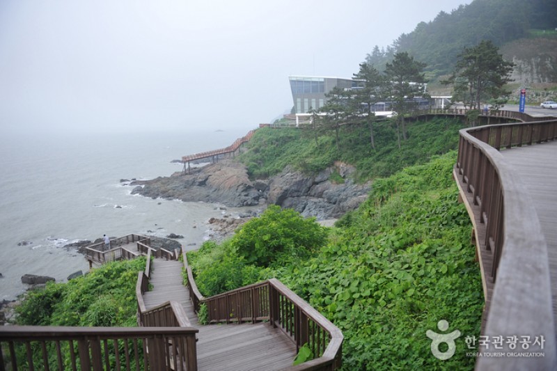 Baeksu Coastal Road  (4/24)