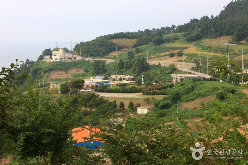 Baeksu Coastal Road  (11/24)