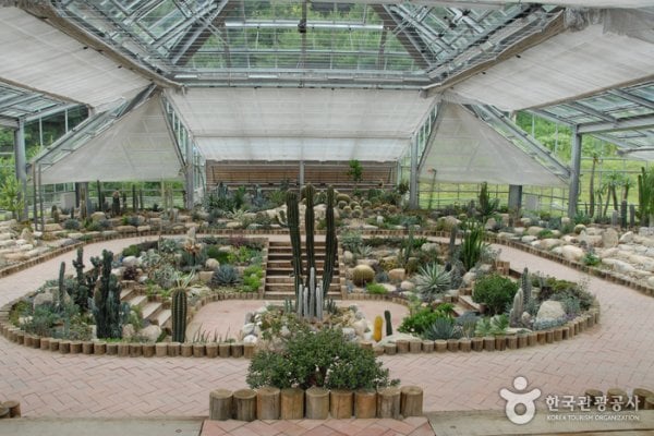 Yanggu Eco-Botanical Garden