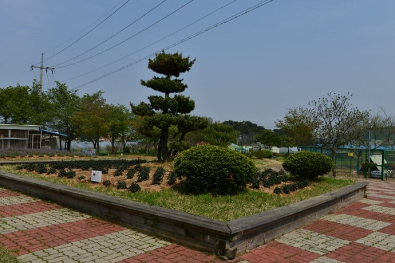 Monkey School  (13/25)