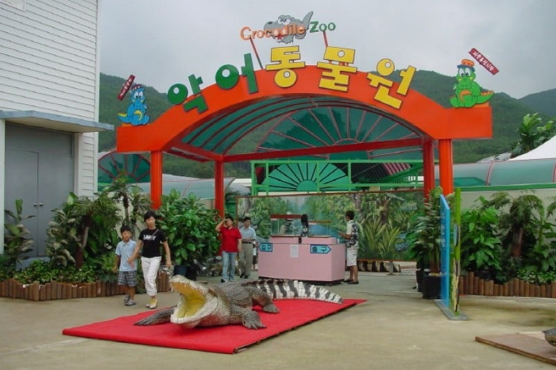 Monkey School  (24/25)