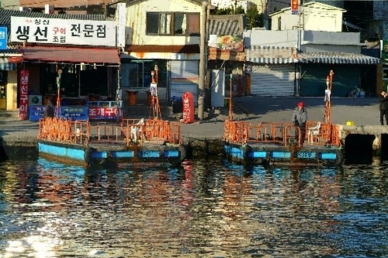 Abai Village Ferry  (3/11)