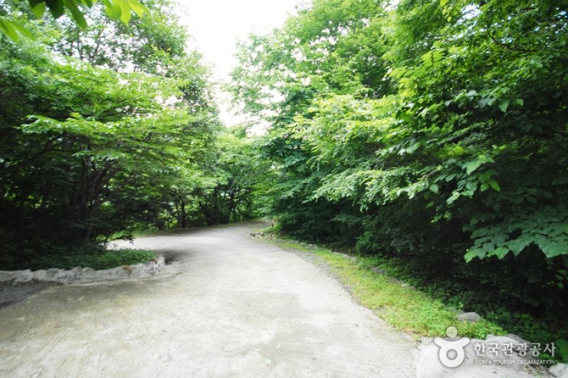 Ganwolsan Mountain  (1/11)