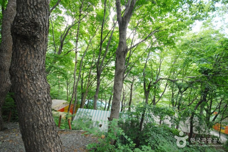 Ganwolsan Mountain  (2/11)