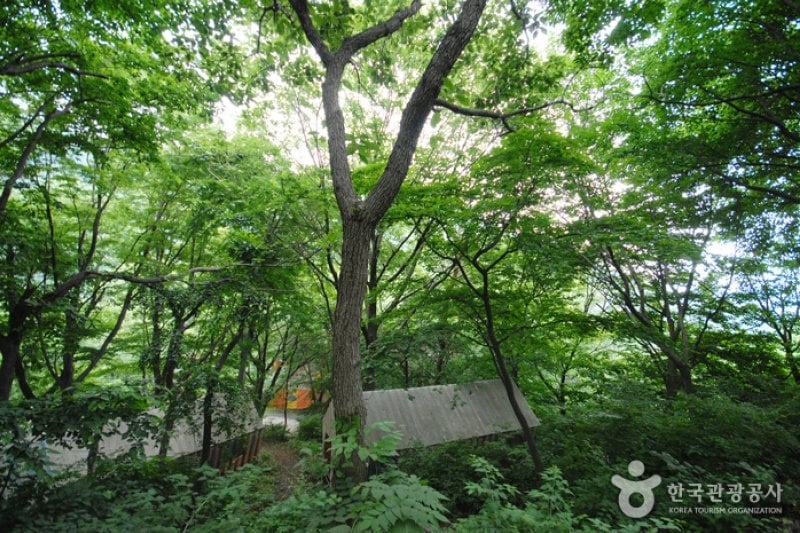 Ganwolsan Mountain  (3/11)