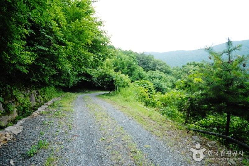 Ganwolsan Mountain  (4/11)