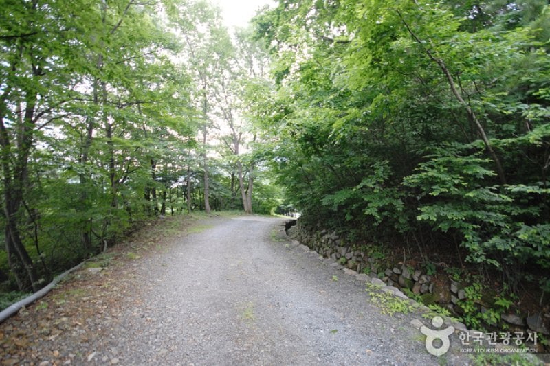 Ganwolsan Mountain  (5/11)